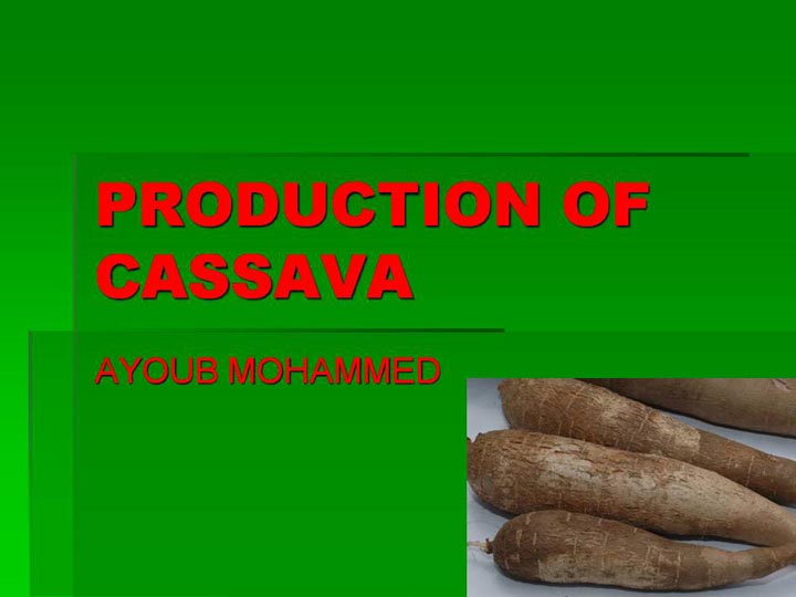 Click here to view Slideshow